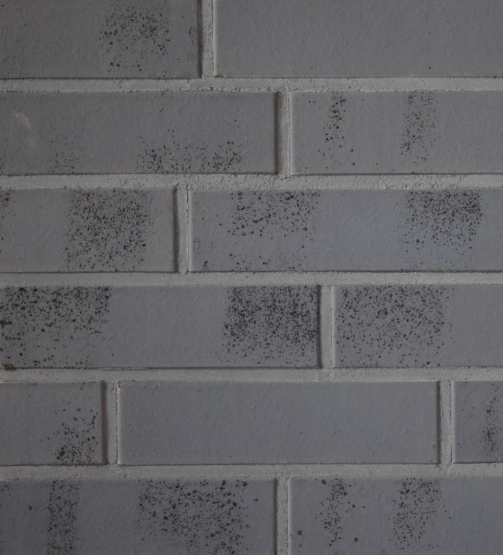 Монблан-10/25