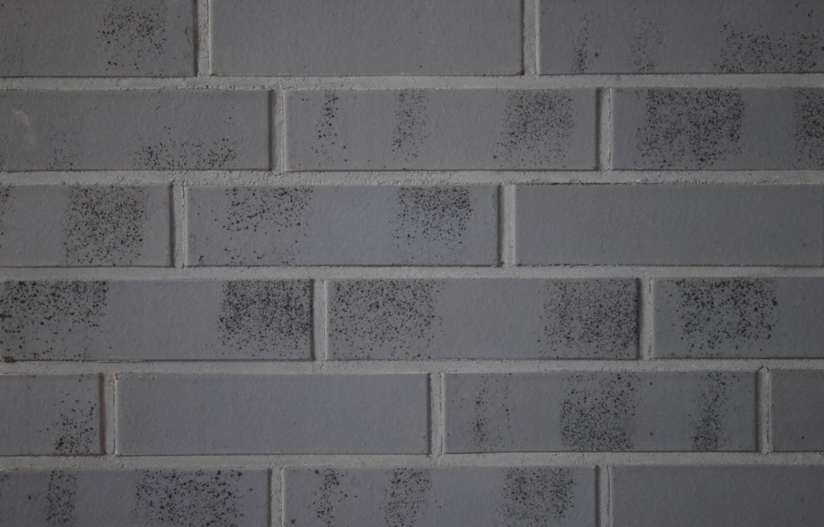 Монблан-10/25