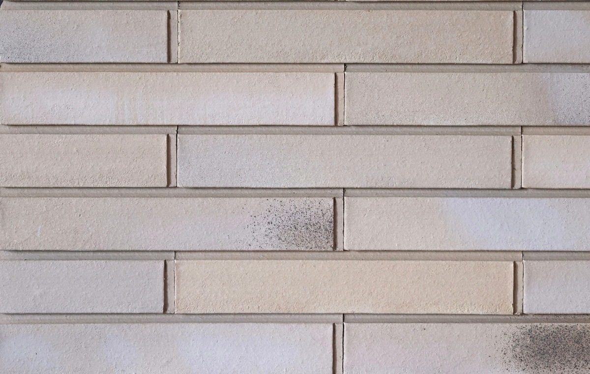 Пайер-03/24/1